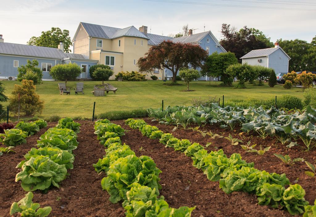L'Auberge Provencale Inn & Restaurant Boyce Luaran gambar